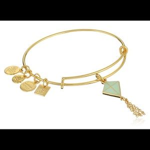 Alex and Ani Inspiration in Flight bangle bracelet